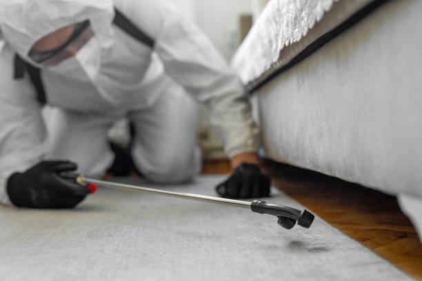 Professional Mosquito Control technician working in Eagle, CO