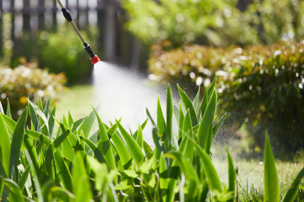 24/7 Emergency Mosquito Control experts in Eagle, CO